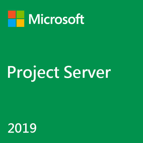 Project Server 2019