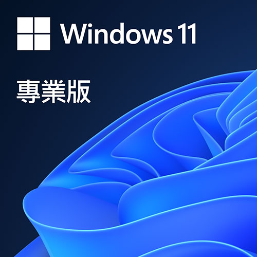 Windows Pro 11 專業下載版